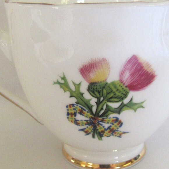 Royal Grafton Thistles and Tartan Tea Cup and Saucer, English Bone China, D1111 - Picture 4 of 8
